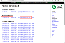 Windows 环境下 Nginx 的安装与基本使用